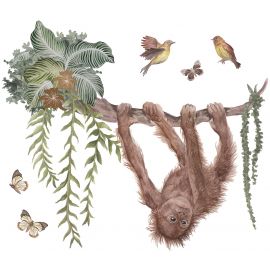 Wandaufkleber - Young Orangutan On His Liana