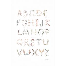 Poster - Large -Alphabet International