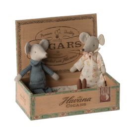 Oma und Opa Mäuse in Zigarrenkiste