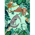 Postkarte - Anteater and sloth