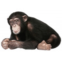 Wandaufkleber Safari Friends 'Schimpanse'